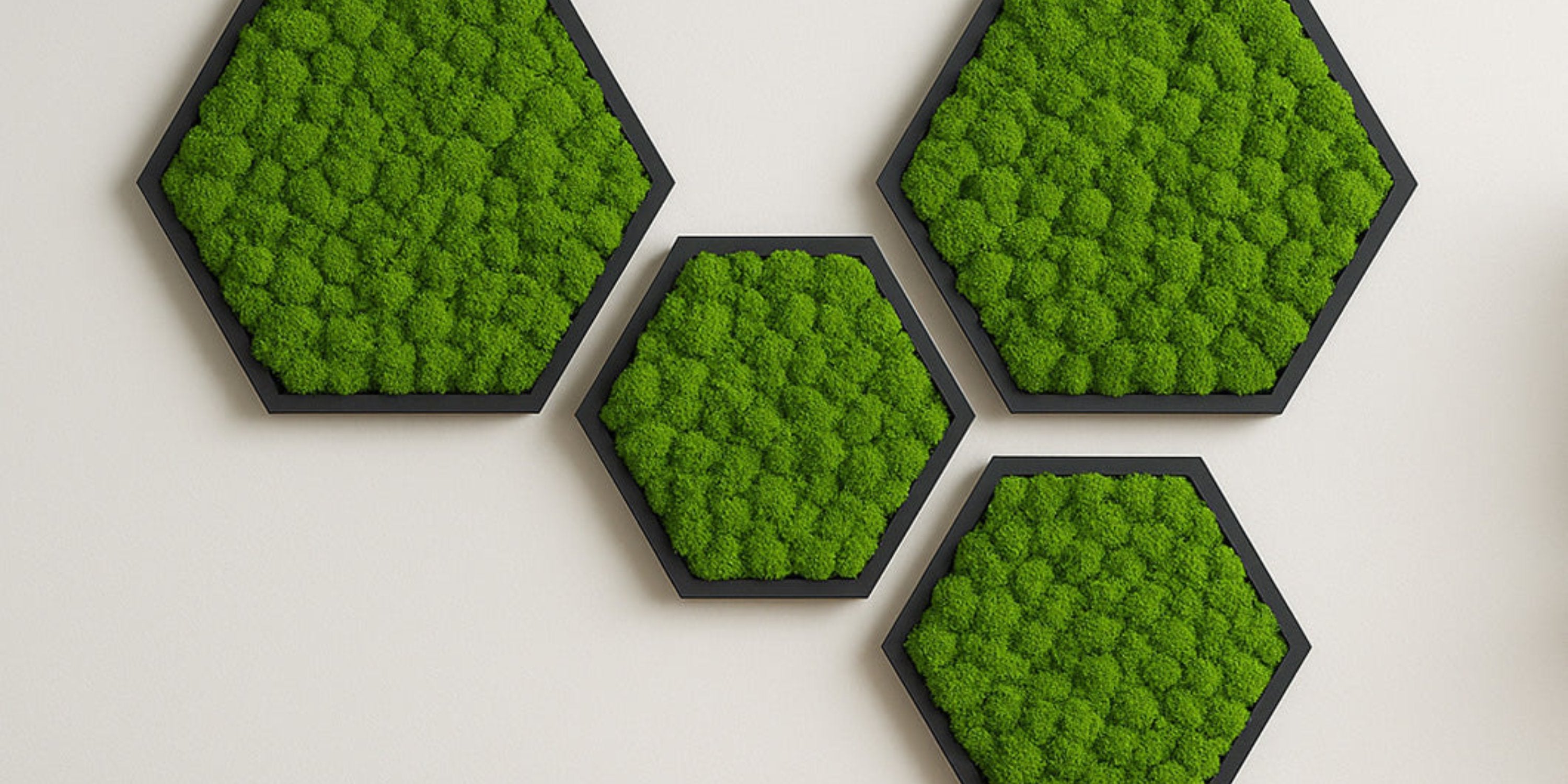 Vertical Nature - Moosbilder in Hexagonform