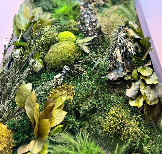 Pflanzenbilder Green Elegance