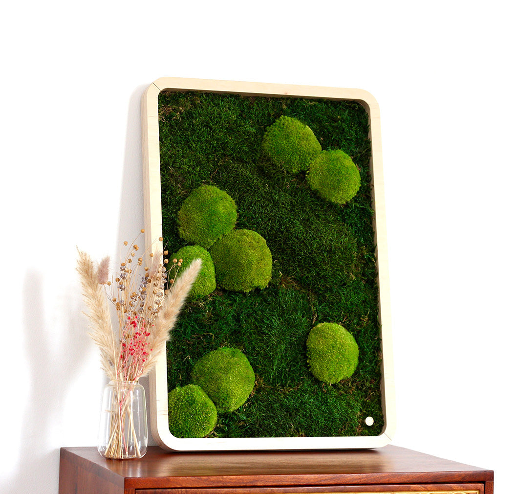 Moosbilder Green Oasis Nature