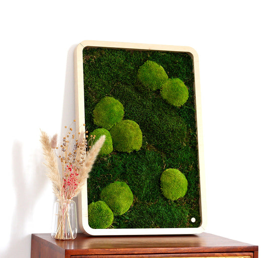 Moosbilder Green Oasis Nature