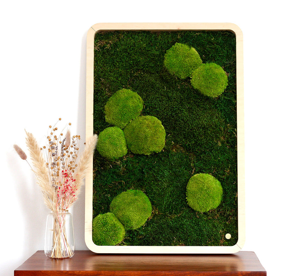 Moosbilder Green Oasis Nature