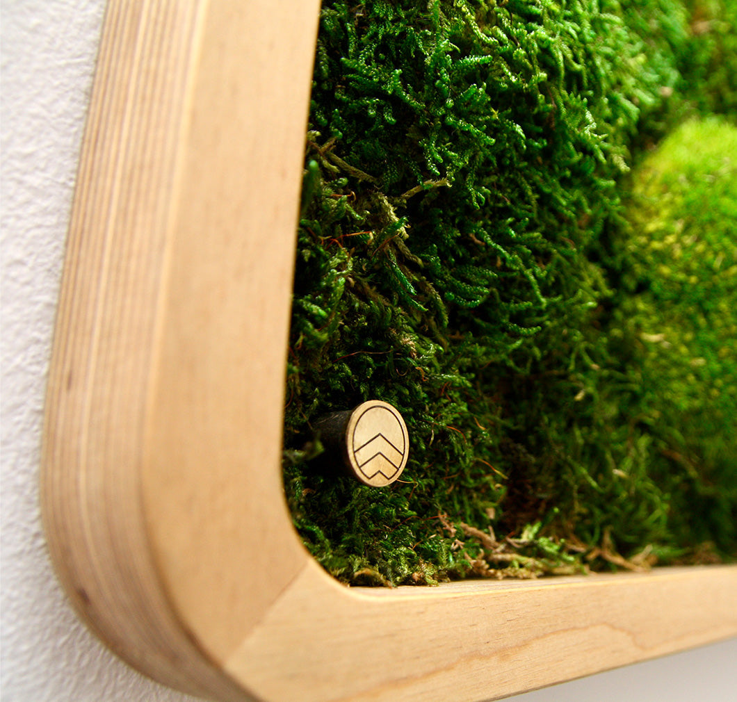 Moosbilder Green Oasis Nature