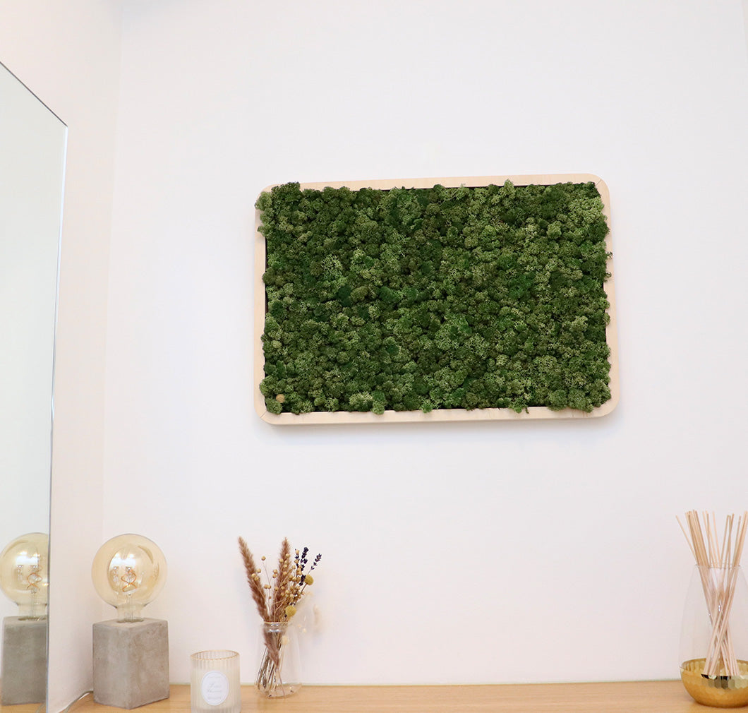 Moosbilder Green Oasis Nature