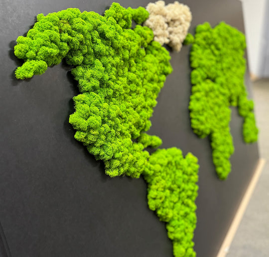 Moosbild "Weltkarte"