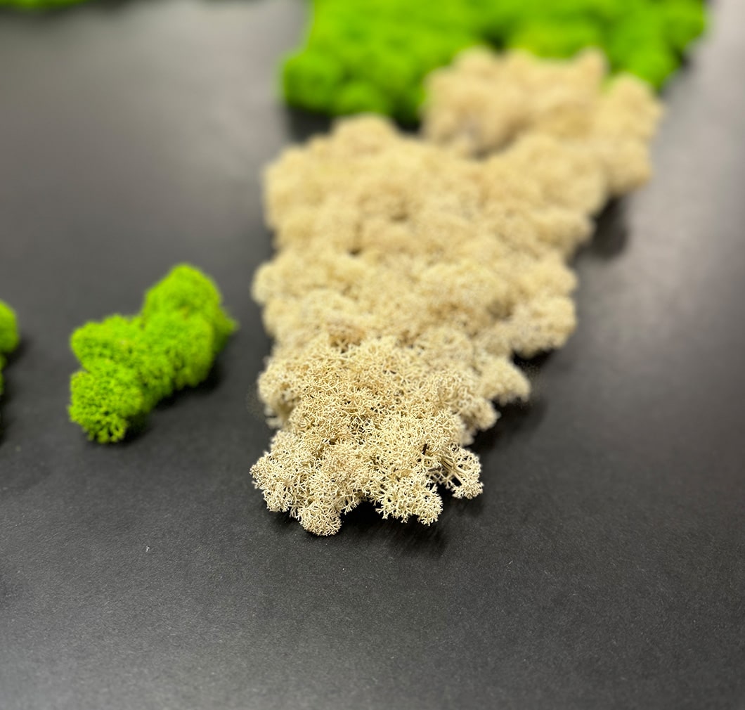 Moosbild "Weltkarte"