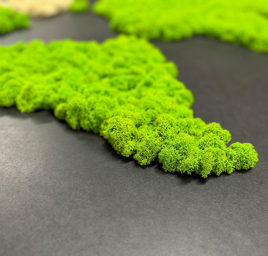 Moosbild "Weltkarte"