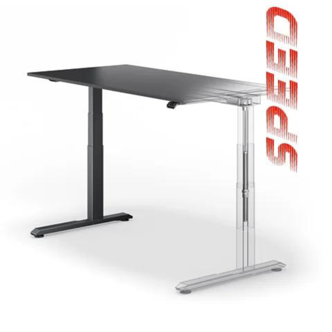 workwell-sedus-temptation-speed