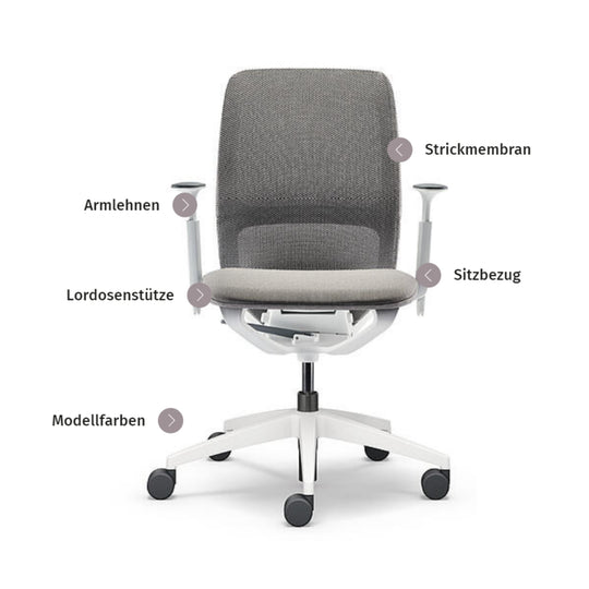 Workwell Sedus Drehstuhl se:motion grau mit Gestell lichtgrau mit Armlehnen