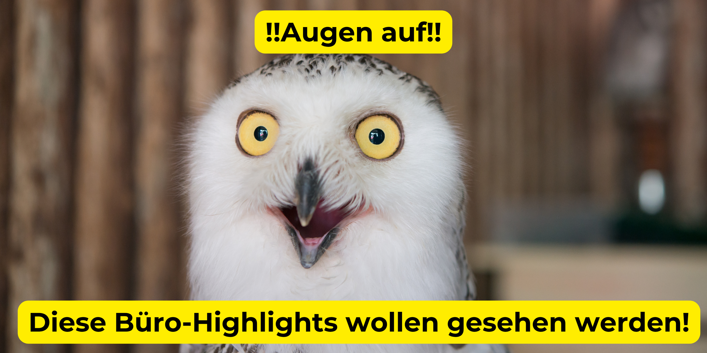 Produktneuheiten Sommer 2025