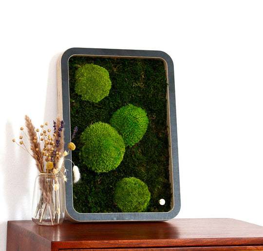 Bilder aus Moos Green Oasis Black