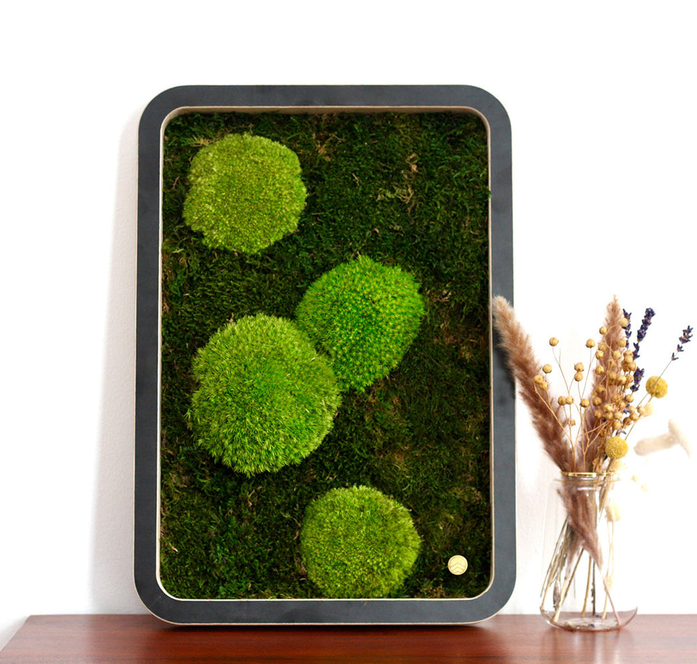 Bilder aus Moos Green Oasis Black