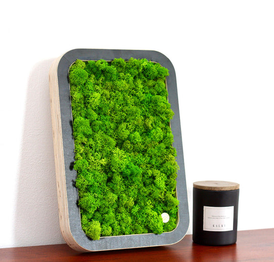 Bilder aus Moos Green Oasis Black