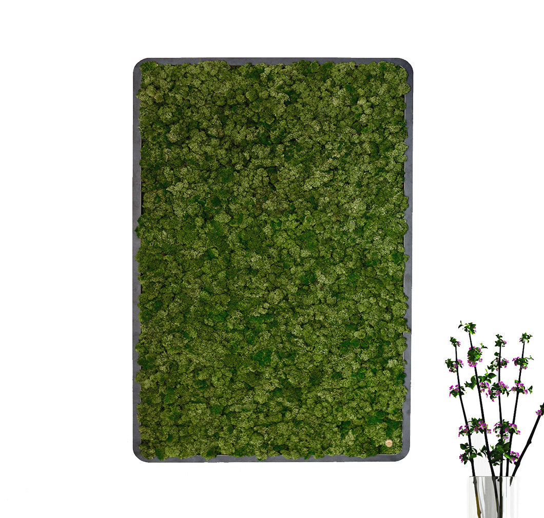 Bilder aus Moos Green Oasis Black