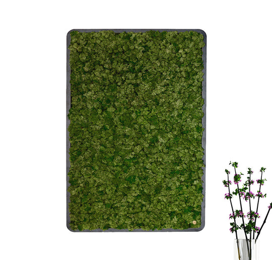 Bilder aus Moos Green Oasis Black