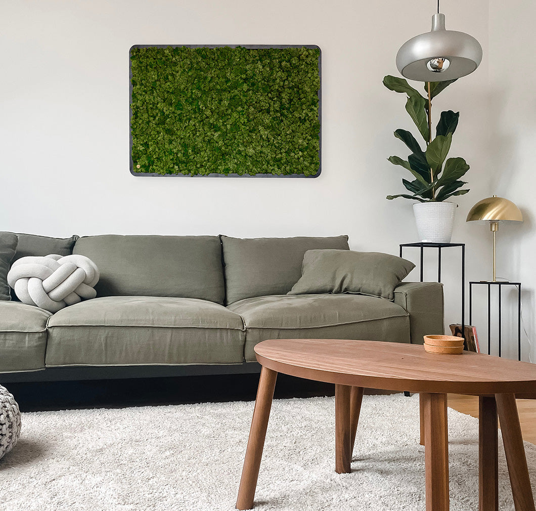 Bilder aus Moos Green Oasis Black