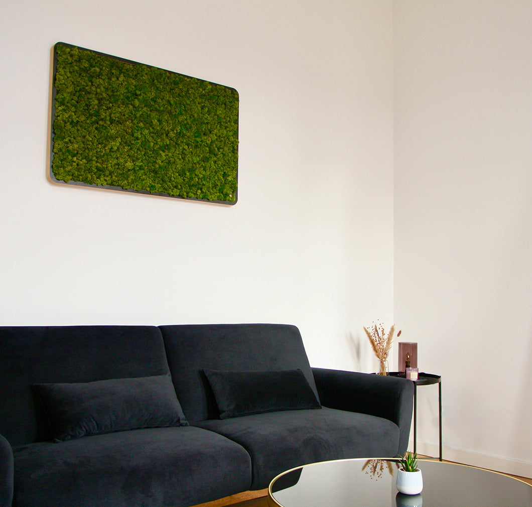 Bilder aus Moos Green Oasis Black