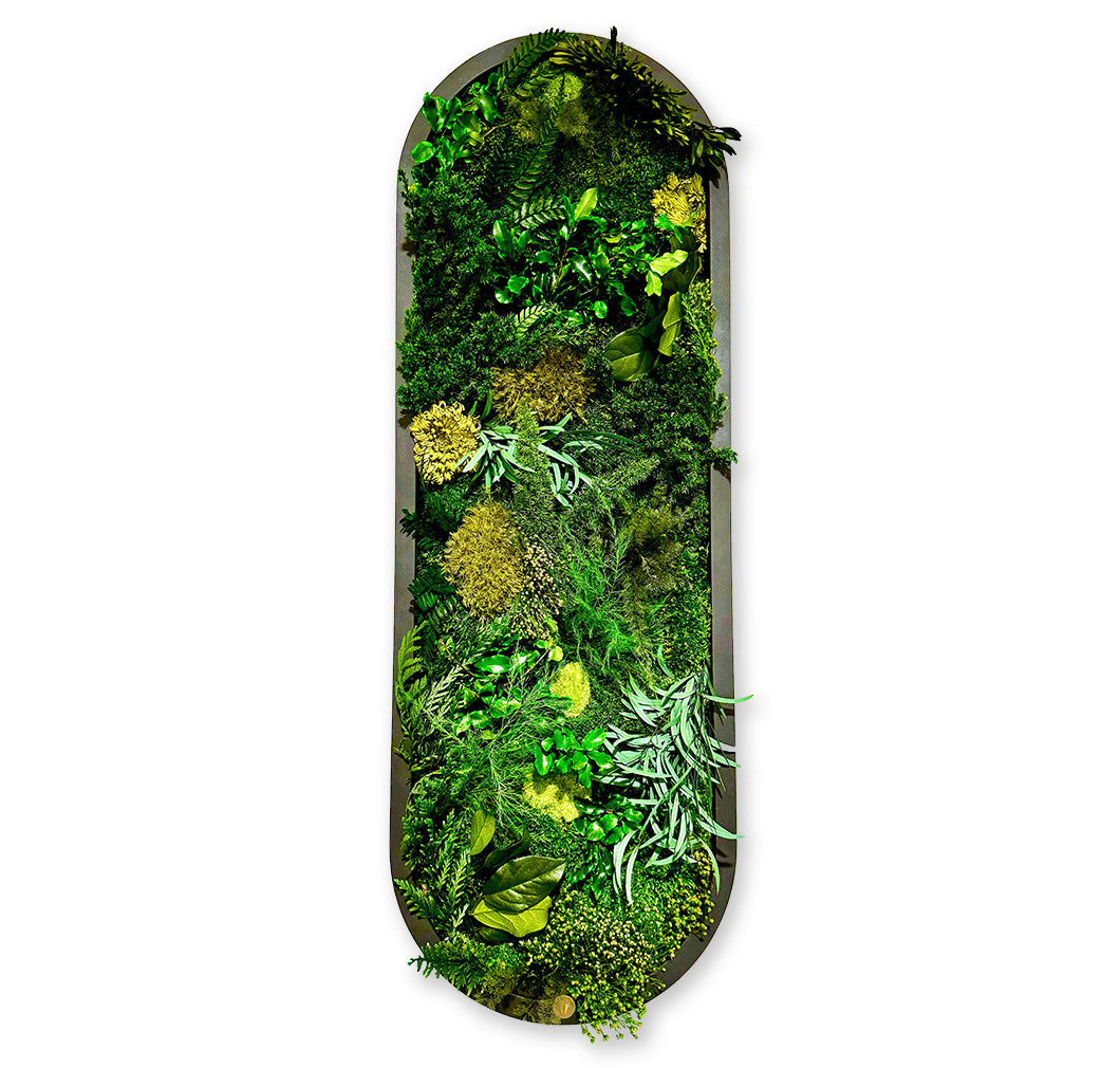 Pflanzenbilder "Green Elegance" von Virtual Nature