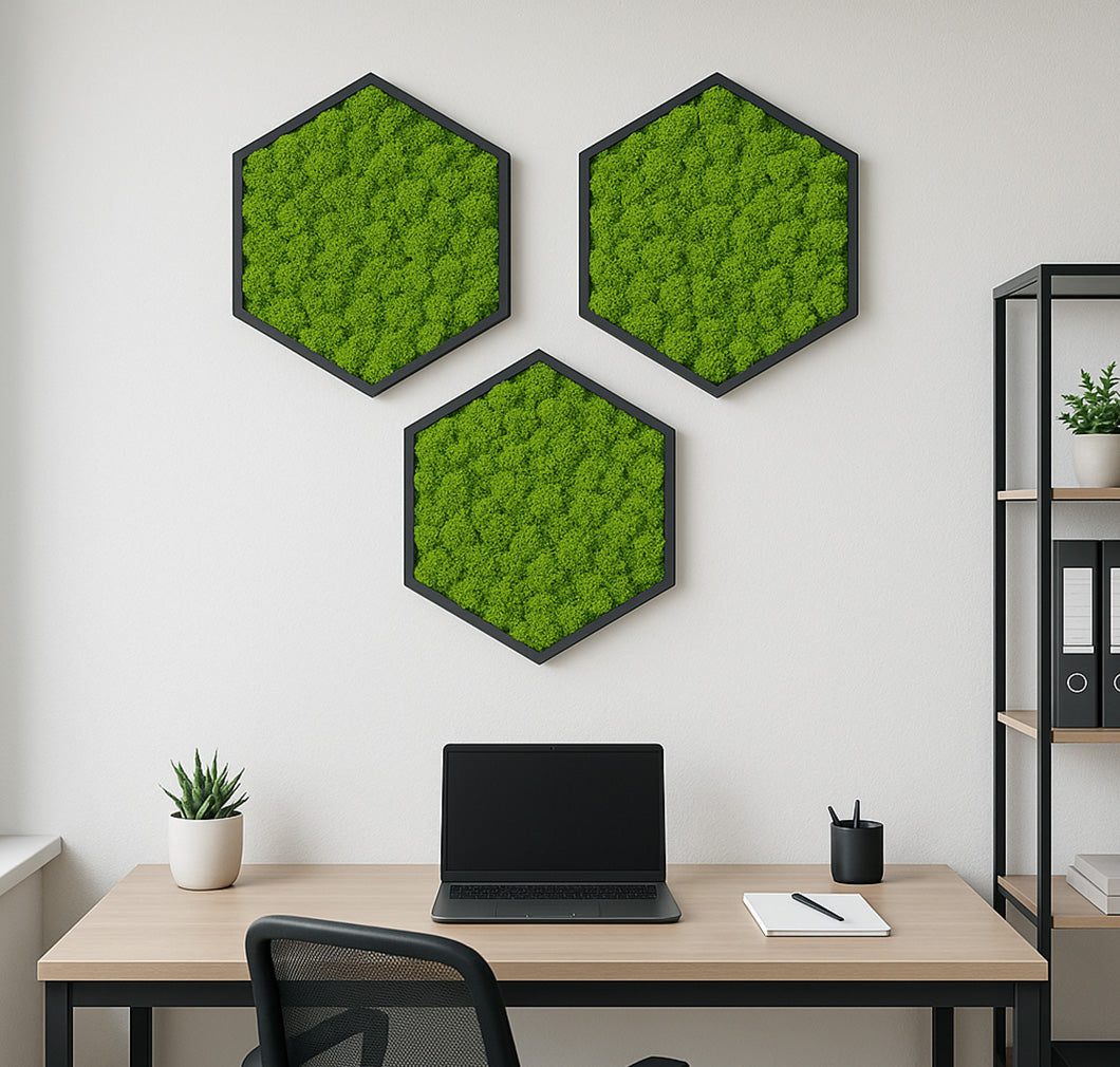 Moosbilder Hexagon