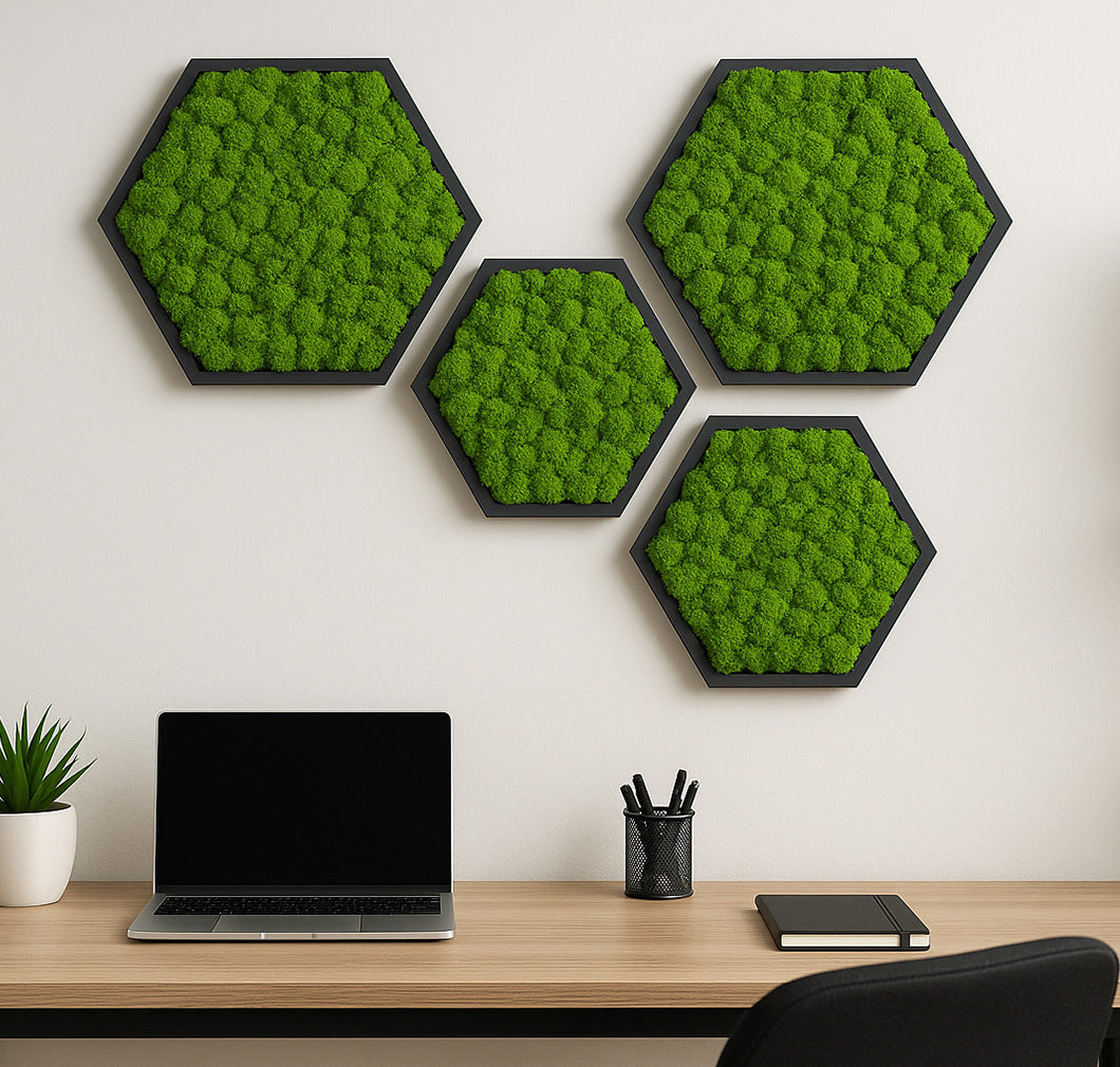 Moosbilder Hexagon