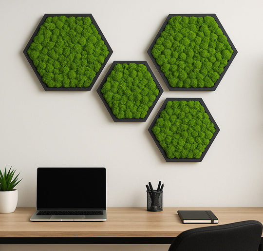 Moosbilder Hexagon