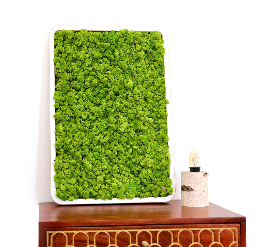Green Oasis White