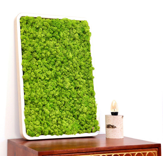 Green Oasis White