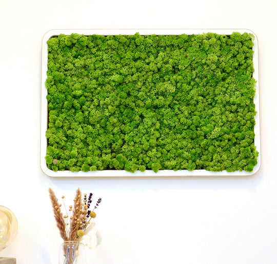 Green Oasis White