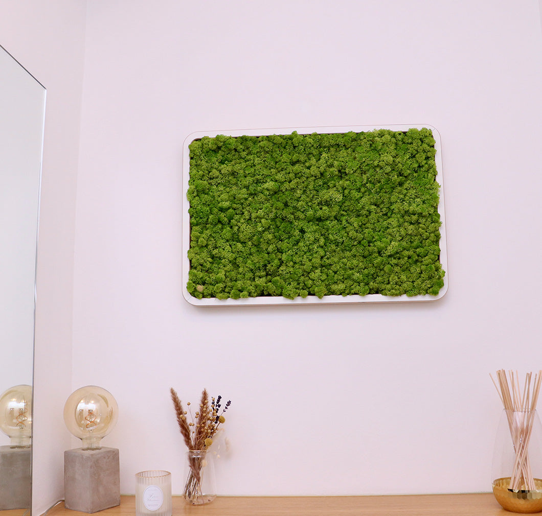 Green Oasis White