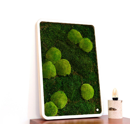 Green Oasis White