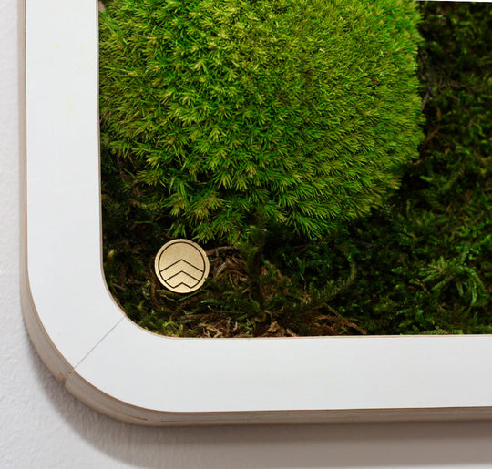 Green Oasis White