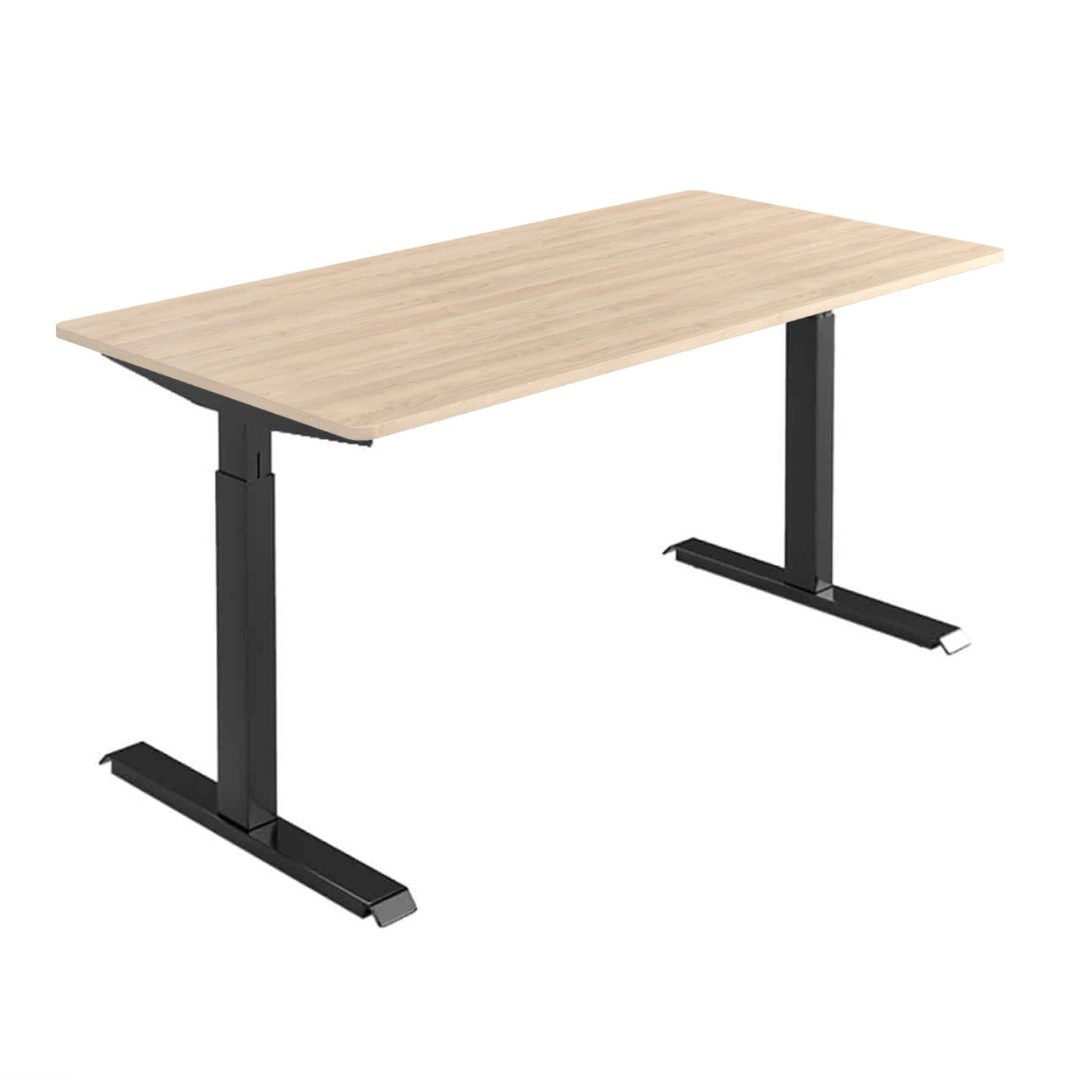 MO Casa Steh-Sitz-Schreibtisch Mo Three elektrisch höhenverstellbar - 100 kg Maximalbelastung